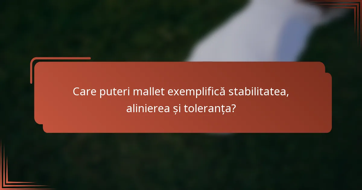 Care puteri mallet exemplifică stabilitatea, alinierea și toleranța?