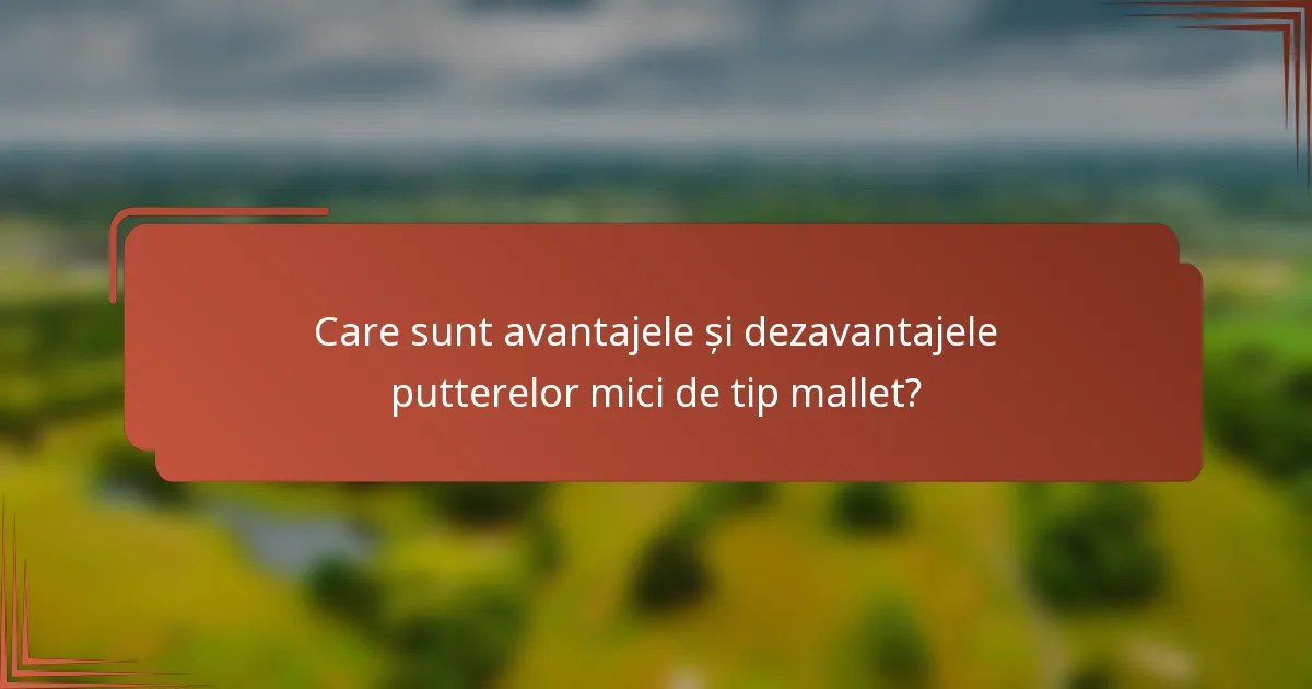Care sunt avantajele și dezavantajele putterelor mici de tip mallet?