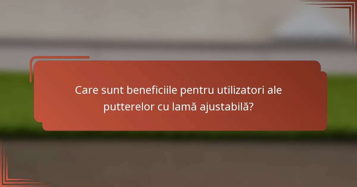 Care sunt beneficiile pentru utilizatori ale putterelor cu lamă ajustabilă?