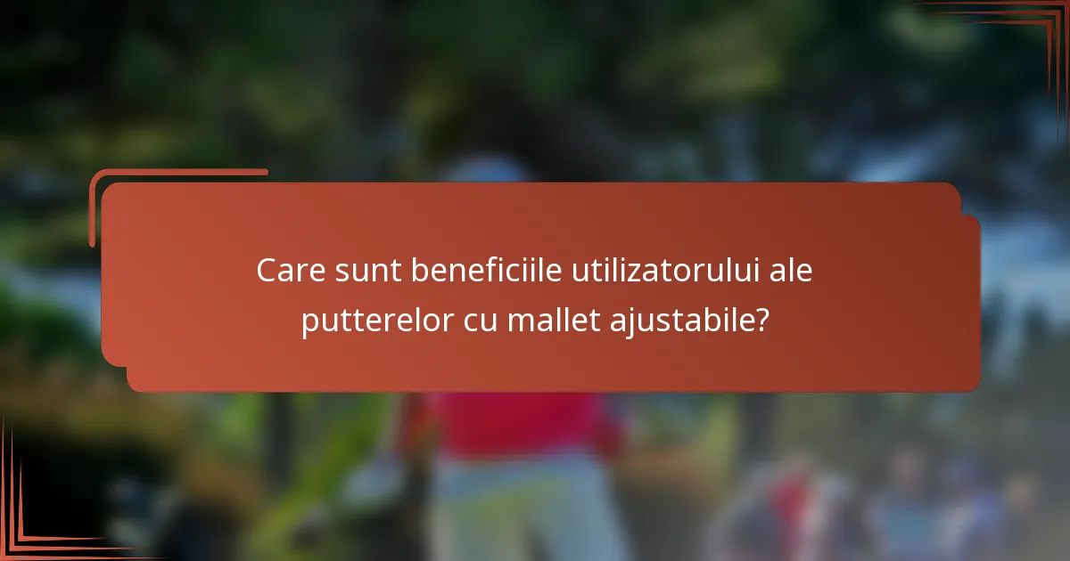 Care sunt beneficiile utilizatorului ale putterelor cu mallet ajustabile?