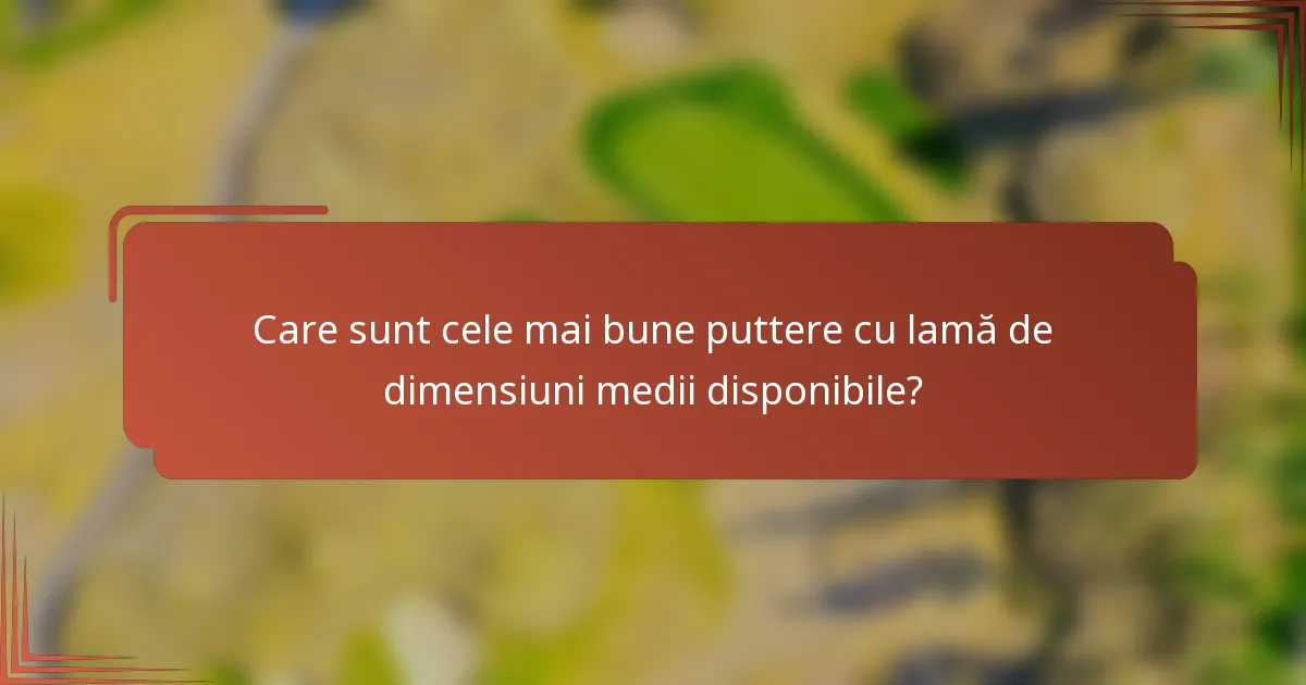 Care sunt cele mai bune puttere cu lamă de dimensiuni medii disponibile?