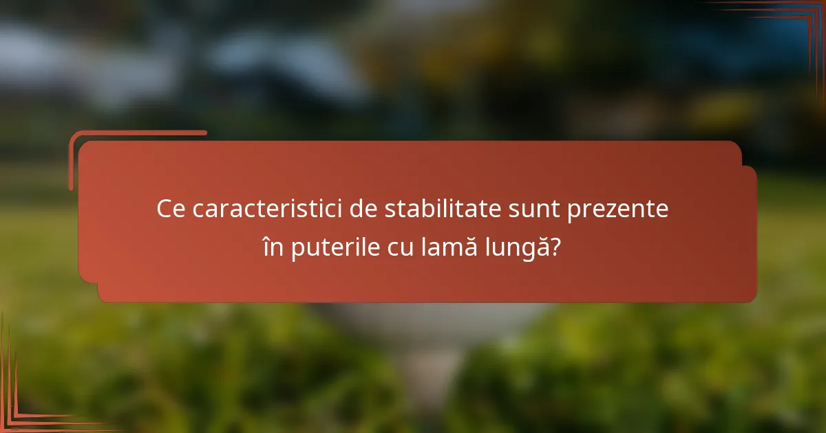 Ce caracteristici de stabilitate sunt prezente în puterile cu lamă lungă?