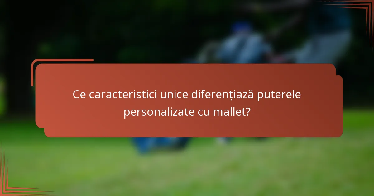 Ce caracteristici unice diferențiază puterele personalizate cu mallet?