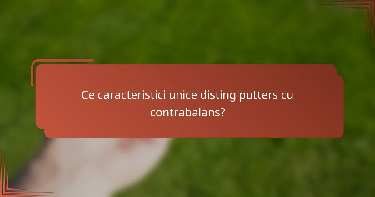 Ce caracteristici unice disting putters cu contrabalans?