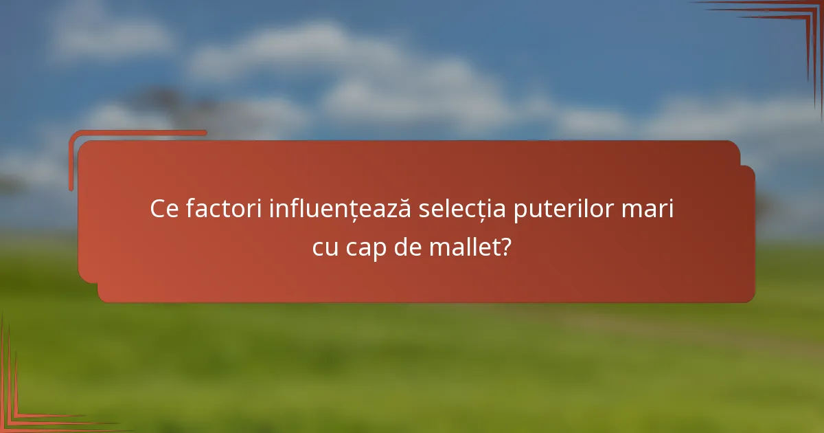 Ce factori influențează selecția puterilor mari cu cap de mallet?
