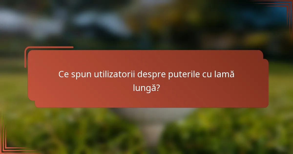 Ce spun utilizatorii despre puterile cu lamă lungă?