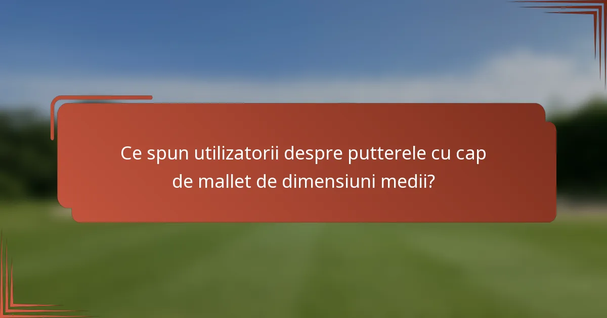 Ce spun utilizatorii despre putterele cu cap de mallet de dimensiuni medii?