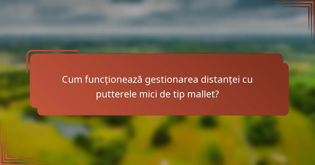 Cum funcționează gestionarea distanței cu putterele mici de tip mallet?
