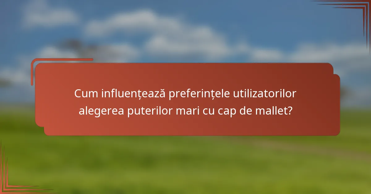 Cum influențează preferințele utilizatorilor alegerea puterilor mari cu cap de mallet?