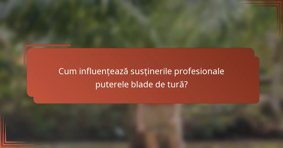 Cum influențează susținerile profesionale puterele blade de tură?
