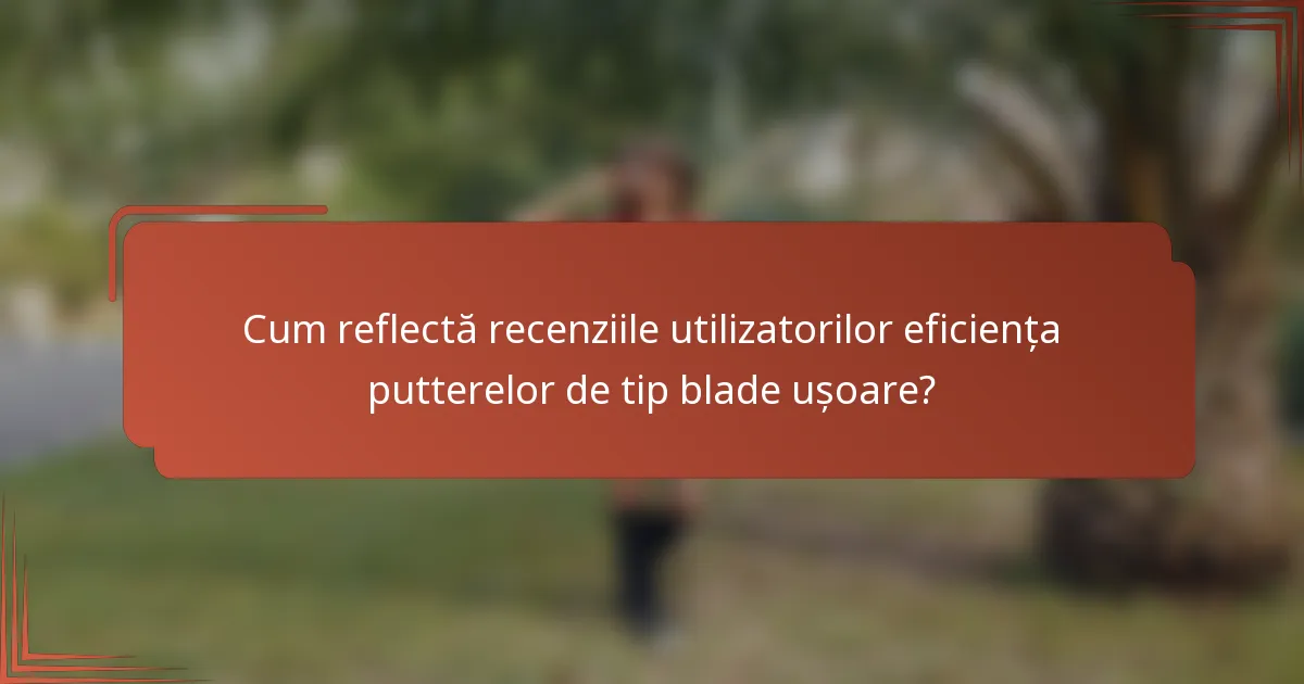 Cum reflectă recenziile utilizatorilor eficiența putterelor de tip blade ușoare?